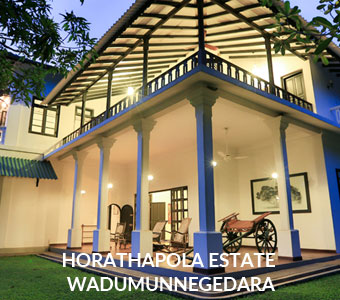 Wadumunnegedara